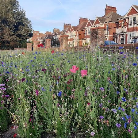 Coastal Chic Bed and Breakfast Bexhill-on-Sea Exteriör bild