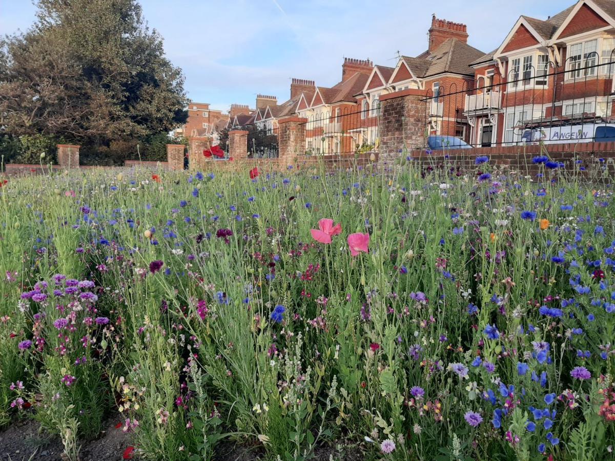 Coastal Chic Bed and Breakfast Bexhill-on-Sea Exteriör bild